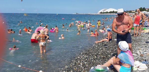 Коралл пансионат Адлеркурорт