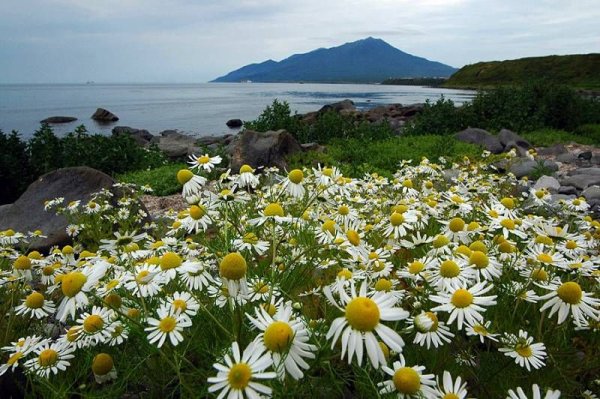 Весна озеро рассвет