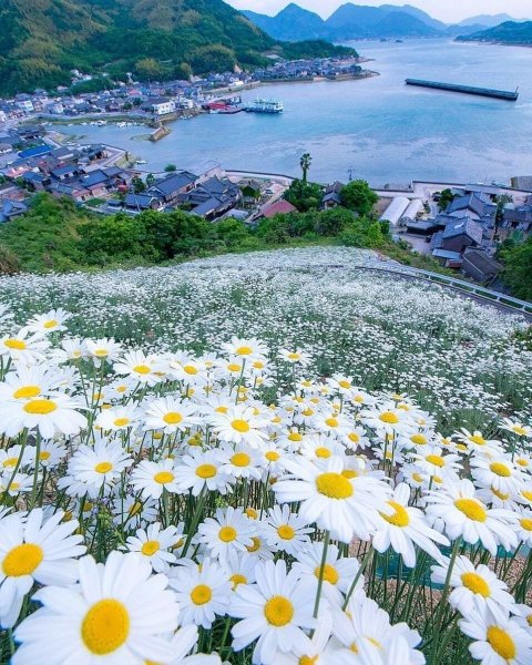 Природа море Маяк