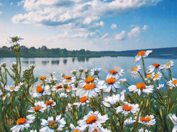 Камни на берегу