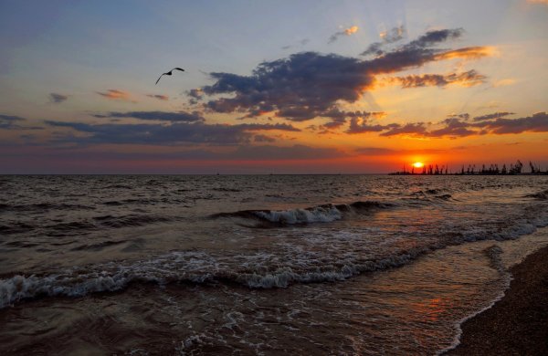 Берег Азовского моря Бердянск