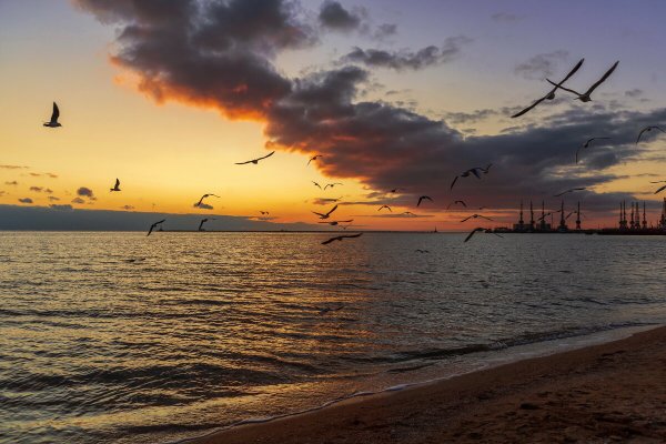 Золотое Крым Азовское море