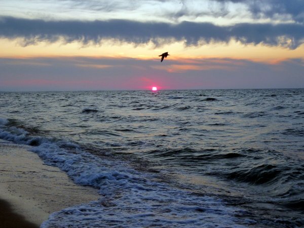 Поле на берегу моря