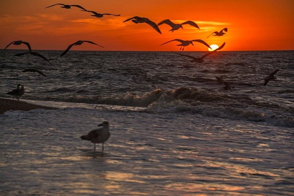 Анапа Азовское море
