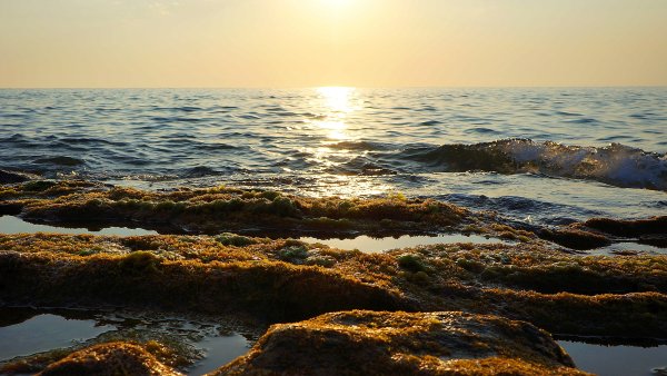 Рассвет на море