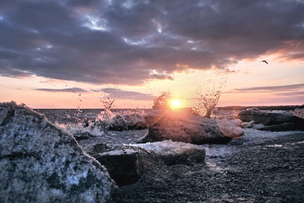 Берег Азовского моря Таганрог