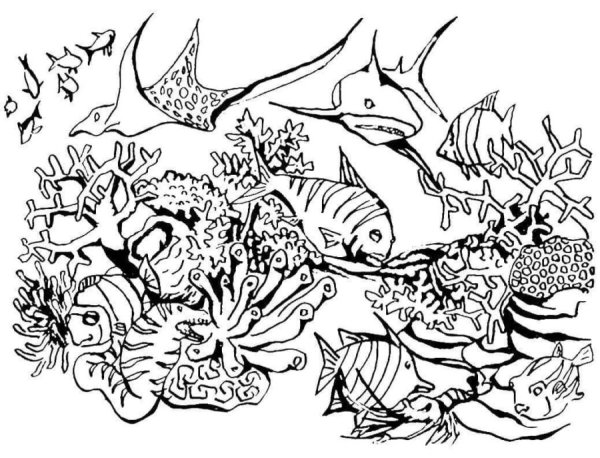 Раскраска "подводный мир"