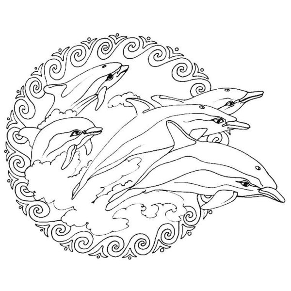 Фрегат Паллада гравюра