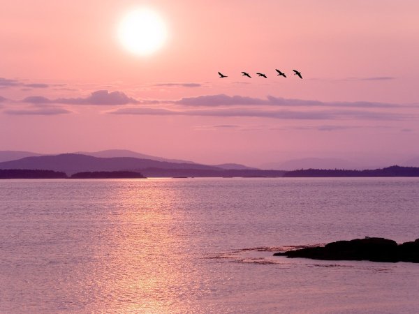 Нежный закат