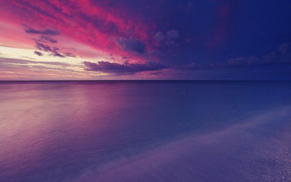 Розовый рассвет