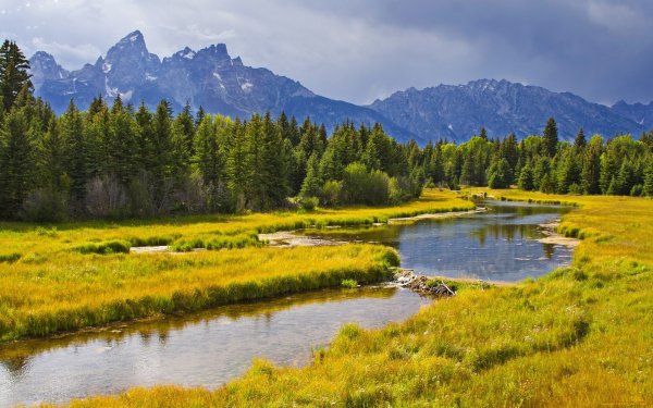 Леса поля и реки горы России