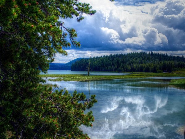 Карельское Лесное озеро