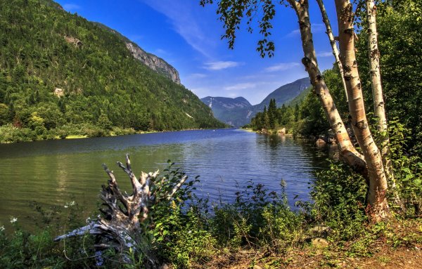 Горы лес река