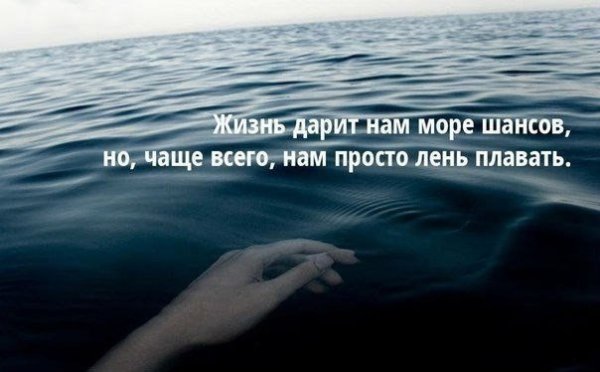 Море цитаты красивые