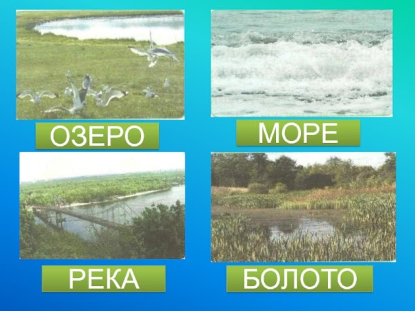 Где встречается в природе