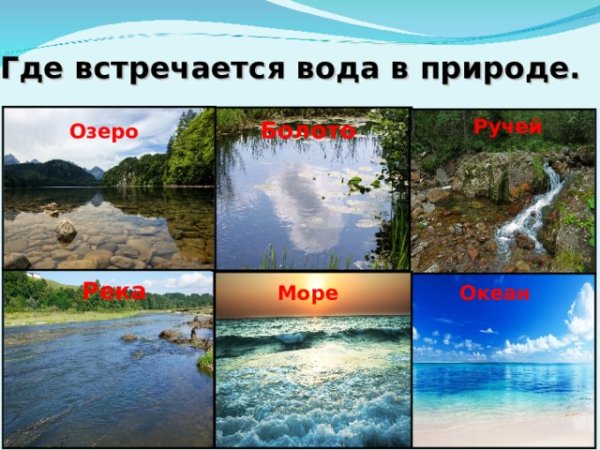 Исток начало реки