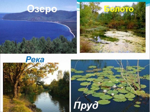 Внутренние воды России