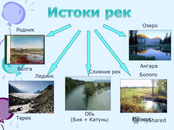 Болотная заводь