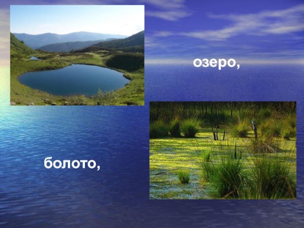 Заболоченное озеро