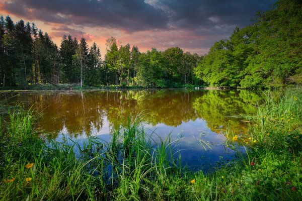 Болотное озеро