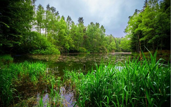 Сёва (приток Камы) реки Удмуртии