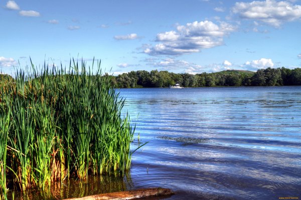 Ил и Тина в реке
