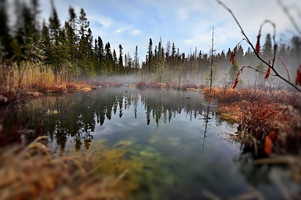 Озеро туман рассвет