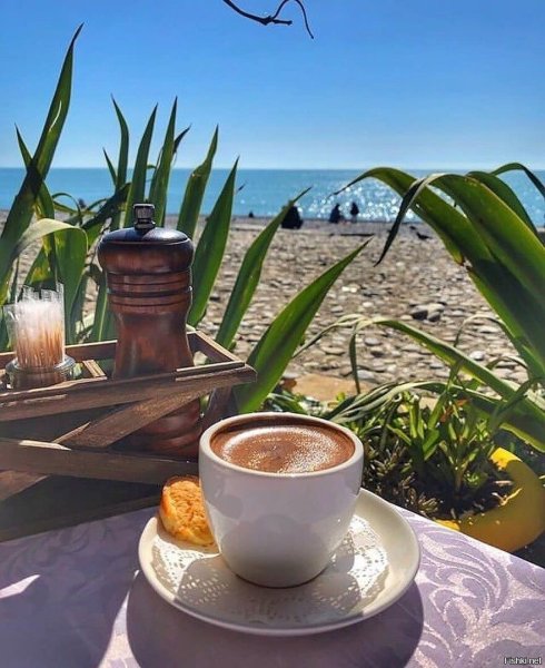 Кофе цветы вид на море