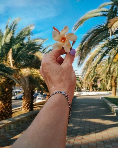 Доброе утро из Сочи