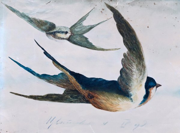 Пейзаж с ласточками