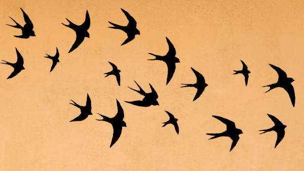 Аполлон Николаевич Майков ласточки иллюстрация