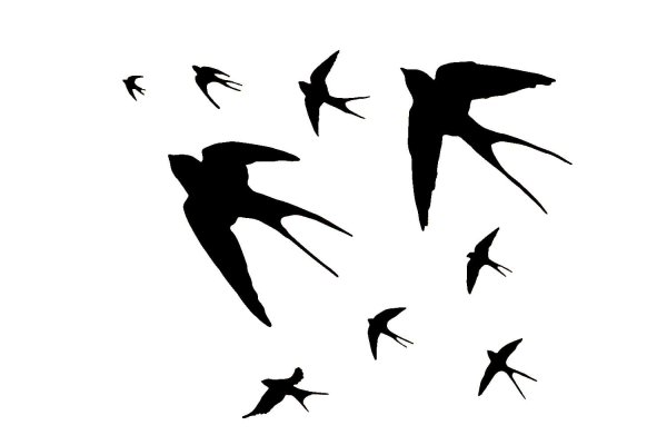 Три ласточки