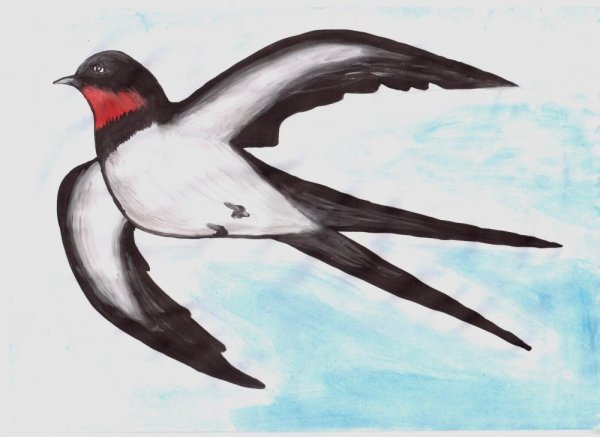 Три ласточки