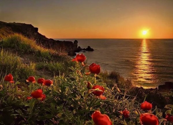 Бокал вина на море