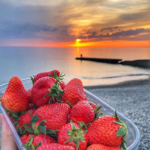 Летний морской пейзаж