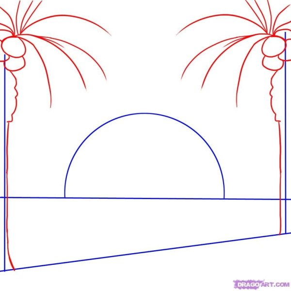 Как нарисовать дельфина