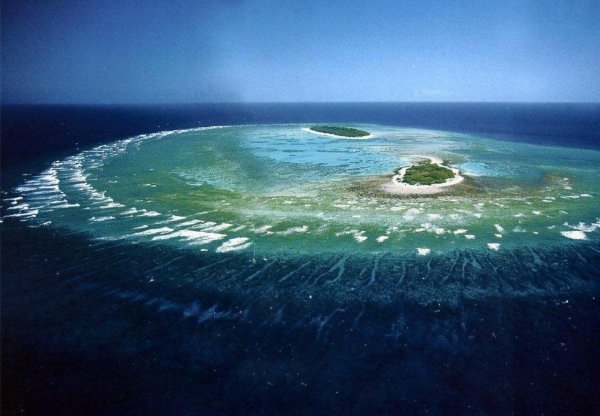 Большая голубая дыра, Лайтхаус-риф