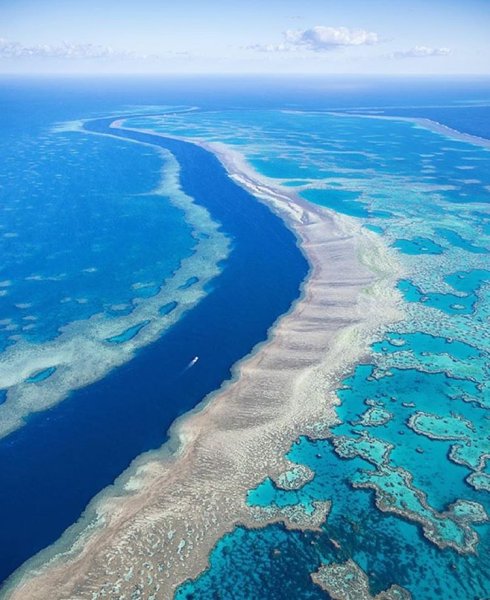 Великий Барьерный риф Австралия