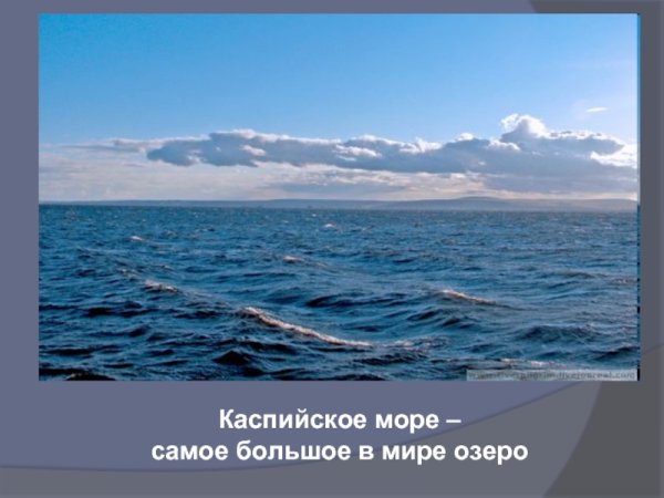 Лайнер Оазис морей