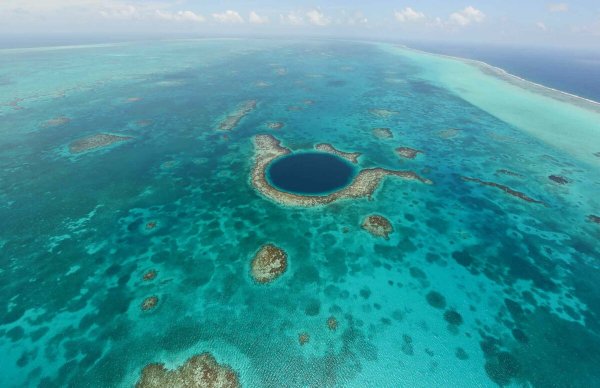 Голубой кит блювал