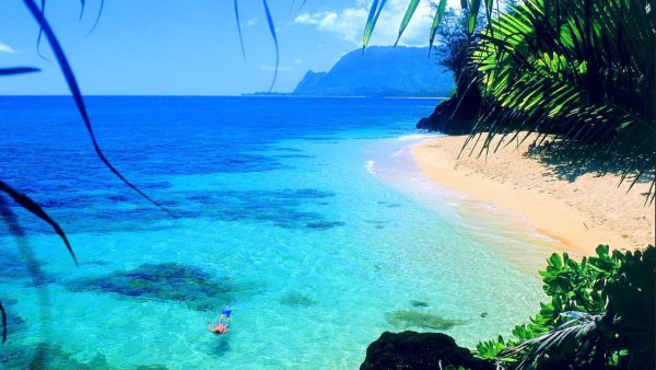 Поверхность моря