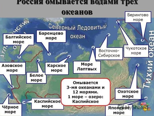 Россия омывается 3 Океанами
