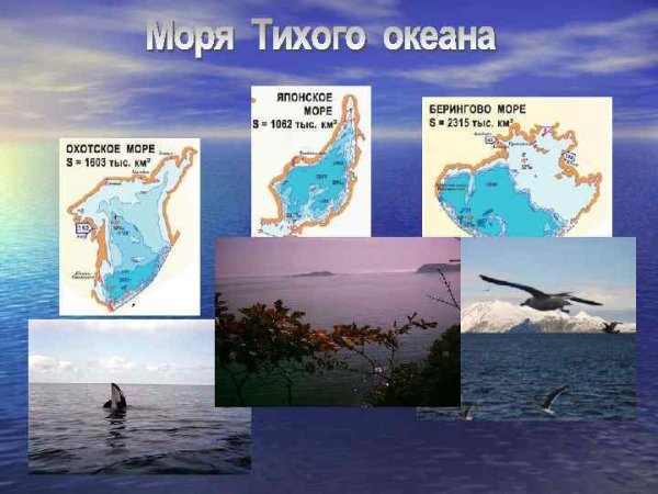 Моря омывающие территорию России на карте