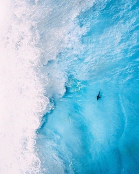 Море сверху