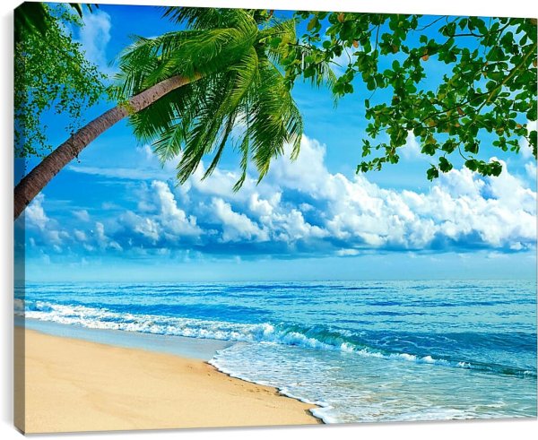 Море пальмы и песок