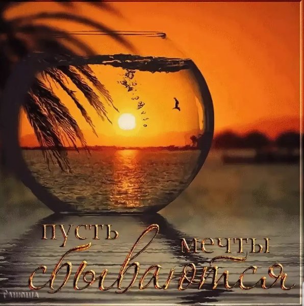 Хорошего вечера море