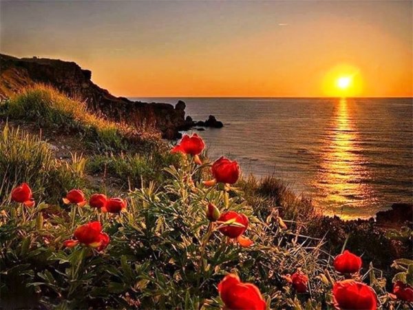 Доброй ночи бесплатно открытки с морем