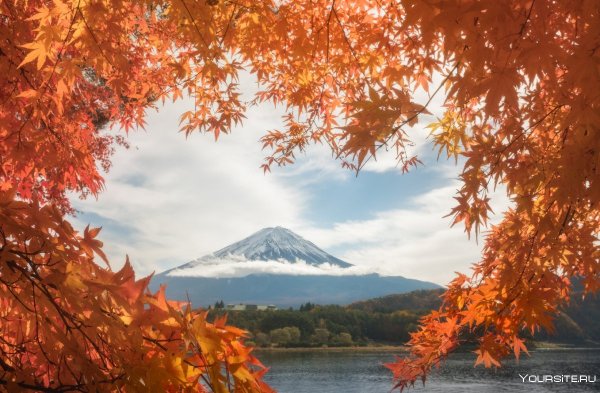 Черное море Сочи осень