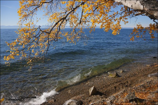 Золотая осень на море