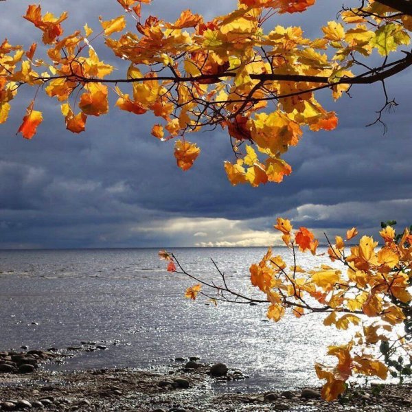 Черное море Сочи осень